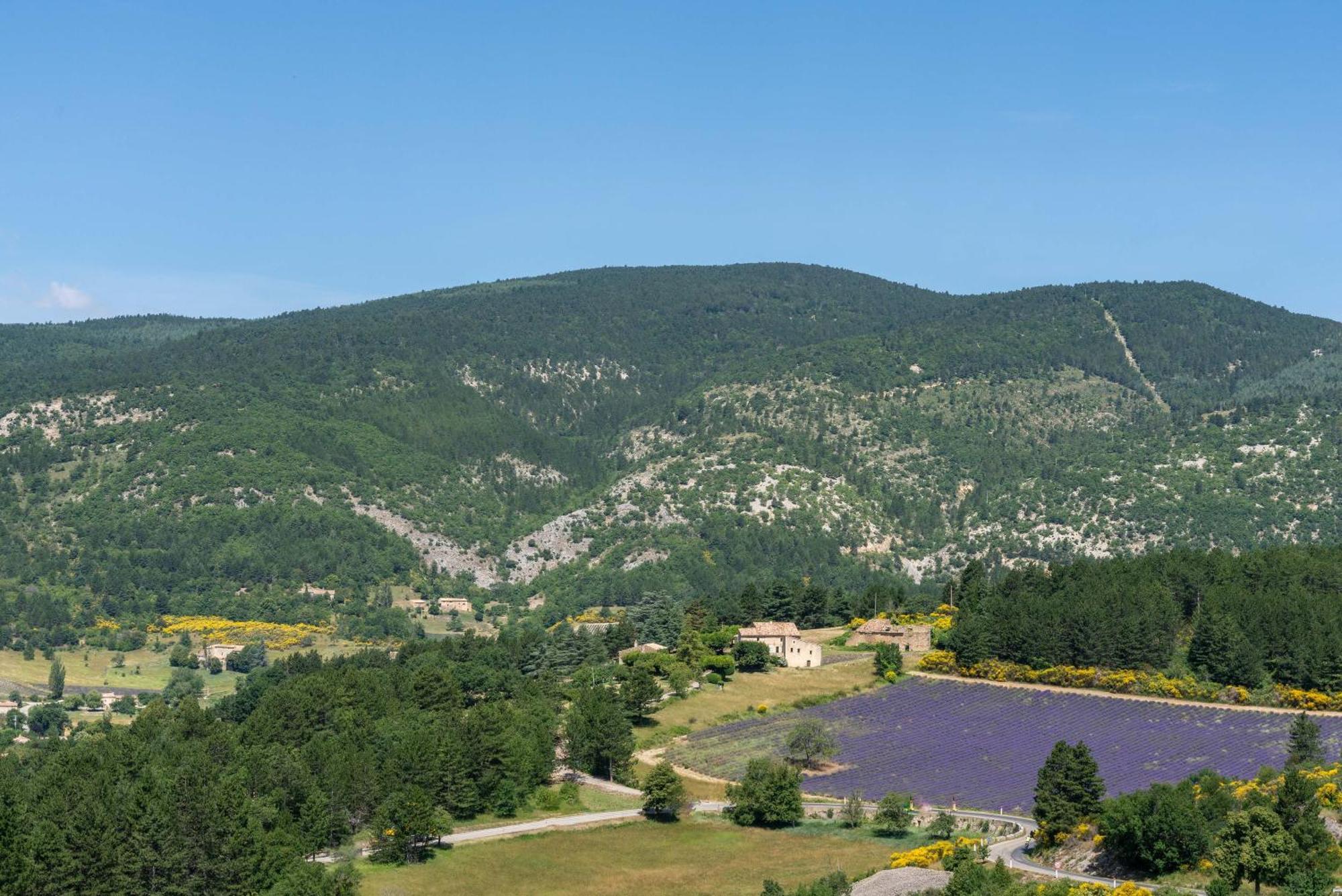 Les Demeures Du Ventoux Villa Aubignan Dış mekan fotoğraf